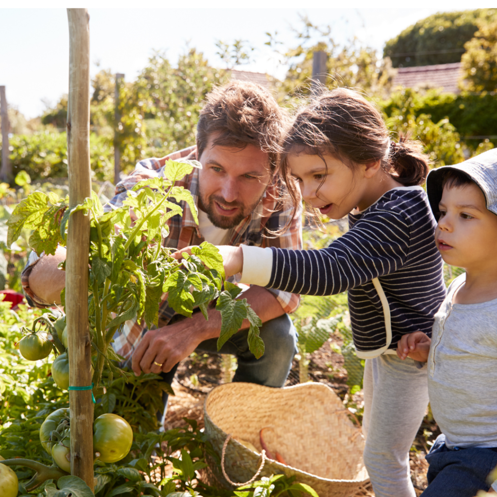 competition case study